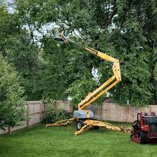 Professional Tree Services in Cherryvale, SC